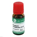 PLUMBUM METALLICUM LM 6 Dilution 10 ml