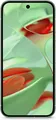 Google Pixel 9 256GB Wintergreen