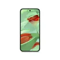 Google Pixel 9 12/256 GB Wintergreen Android 14 Smartphone GA05844-GB