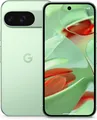 Google Pixel 9 12GB 256GB Wintergreen (Dual-SIM) *Neuwertig*