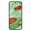 Google Pixel 9 256 GB wintergreen NEU! **