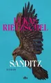 Sanditz: Roman | Das große Epos der Nachwendezeit: ... | Buch | Zustand sehr gut