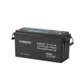 Renogy 12V 200Ah LiFePO4 Mini Lithium Batterie, mit Bluetooth 200ABMS Rundumschutz über 5000 Tiefentladungen, 12V Solarbatterie, Perfekt für Marine Wohnmobile, Netzunabhängige, 40,96kWh