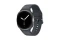 Samsung Galaxy Watch8 LTE SM-L325 Smartwatch 40 mm, Dark Gray "sehr gut"