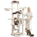 HAPPYPET Großer Kratzbaum Stabil 'Parker' 171 cm - XXL Katzenbaum Creme