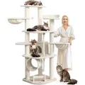 HAPPYPET Großer Kratzbaum Stabil 'Parker' 171 cm - 11 cm Stämme, Große Liegemulden, Kratzrolle, Kletterbaum XXL Katzenbaum für Katzen, Creme - Creme