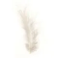 Glorex Marabufedern weiß ca. 15 Stück