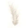 Glorex Marabufedern weiß ca. 15 Stück  Federn