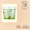 Stiefel Teufelskralle Pellet 1kg Ergänzungsfutter Pferd Bewegungsapparat Reiten