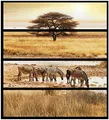 Wallario Möbelfolie/Aufkleber, geeignet für IKEA Malm Kommode mit 4 Schubfächern - Klebefolie Safari in Afrika eine Herde Zebras am Wasser