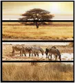 Wallario Aufkleber Möbelfolie Ikea Malm 4 Schub Safari Afrika  eine Herde