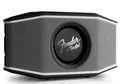 Teufel Fender X ROCKSTER GO 2 tragbarer Bluetooth Lautsprecher in silber schwarz