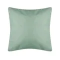 Bestlivings Outdoor Kissen mit Paspel (45 x 45 cm) Mintgrün Dekokissen Garten - Reißverschluss - Schmutz- und Wasserabweisend - Abnehmbarer Kissenbezug