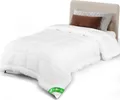 VOUNOT® Bettdecke 155x200 cm, 4 Jahreszeiten Winterdecke 2er Set 300GSM