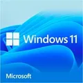 Windows 11 Home, Betriebssystem-Software 64-Bit, Deutsch, USB-Stick