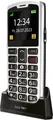 Bea-fon SL260 silber BT 2G Featurephone Tastentelefon SOS HAC Ladeschale NEU