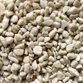 Steinteppich Epoxidharz Set Innen & Außen (ca. 56kg / 2-2,5m2) | 50kg 2-4mm Marmorkies + 6L, 2K Epoxidharz Bindemittel | (Bianco Avorio)