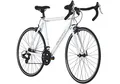 Adore Rennrad "Adore Rennrad 28'' Racer Alu Weiß 14 Gänge" Gr. 51, weiß, weiß, 51cm, 28 Zoll (71,12cm) hinten: 28 Zoll (71,12cm)