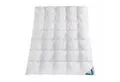 Haeussling Daunenbettdecke Häussling Daunendecke Hjemme hygge home Plissee 155x220 cm, Füllung: 90% Daunen, 10% Federn, Bezug: 100% Baumwolle