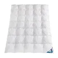 Häussling Daunendecke Hjemme hygge home Plissee 155x220 cm, Kassettenbett warm