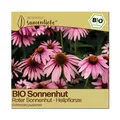 Samenliebe BIO Sonnenhut Samen Roter Sonnenhut - winterhart & mehrjährig