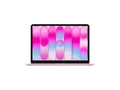APPLE MacBook Neo - 13 Zoll Apple A18 Pro 8 GB 256 macOS