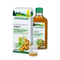 Ingwer Pflanzentrunk Schoenenberger Saft 200 ml