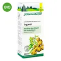 Ingwer Pflanzentrunk Schoenenberger 200 ml PZN 02640525