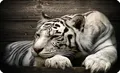 Silent Monsters Gaming & Office Mauspad 24 x 20 cm Mousepad Tiger Raubtier weiß