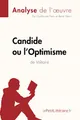 Candide ou l'Optimisme de Voltaire (Analyse de l'oeuvre): Analyse complète et résumé détaillé de l'oeuvre (Fiche de lecture)