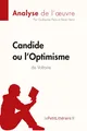 Lepetitlitteraire (u. a.) | Candide ou l'Optimisme de Voltaire (Analyse de...