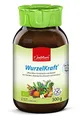 Jentschura WurzelKraft Feingranulat BIO (0.3 Kg)