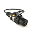 Sommer Cable Mikrofonkabel 1m Miniklinke 3,5mm auf XLR weiblich Mikrofonadapter für DSLR Kameras vergoldete Stecker - SC-AK600-MF-0100