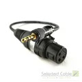 Mikrofonkabel 1m 3,5mm Miniklinke screwable XLR (w) Adapterkabel DSLR Kamera