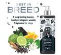 Bugalugs Tiershampoo Bugalugs bestes Hunde Pflegeshampoo mit Aktivkohle Zitrusfrüchte Duft, 500 ml, (1-St), pH neutral, Hundeshampoo, mit Vitaminen, mit Aktivkohle