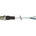 Murrelektronik M12-Stecker 7000-12001-2130500