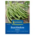 Gemüsesamen, Buschbohnen 'Modesto'