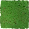 Jangal - Modular Wall Akustik 3d Paneele 520 X 520 Mm Forest Green Design Moos Kunst Pflanzwand Moospaneele