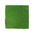 JANGAL Modular Wall Pflanzenwand  520 x 520 mm Design Moos Forest Green Moos