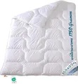 Extra warme Winter Bettdecke Duo Steppbett Baumwollbezug 155x220 95°