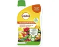 Solabiol Grundstoff Urtica Konzentrat 1 l