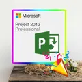Project 2013 Professional