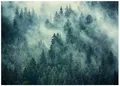 Fototapete Wald im Nebel Bäume Natur Grün 350x250 cm - inkl. Kleister - für Wohnzimmer Schlafzimmer Flur Modern Vlies Tapete Vliestapete Wandtapete Motivtapeten UV-Beständig