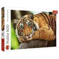 TR37397 - Premium Puzzle 500 Teile - Tiger Portrait