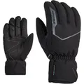 ZIENER Herren Handschuhe GARIGON AS(R) glove ski alpine
