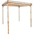 Pergola Bambus 170√ó170√ó220 Cm - Vidaxl