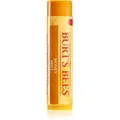Burt’s Bees Lip Care Lippenbalsam mit Honig (with Honey & Vitamin E) 4,25 g