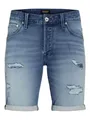 JACK & JONES Jjirick Jjicon I.K. Shorts Ge 136 Sn