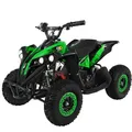 Actionbikes Motors Kinder Quad Elektro ATV Reneblade | 𝟒𝟖 Volt 𝟭𝟬𝟬𝟬 Watt Motor bis 𝟐𝟓 km/h - Kinderquad - Pocket Quad - Miniquad - Safety Fußschalter - Für Kinder ab 6 Jahren (Schwarz/Grün)