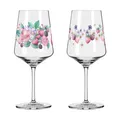 RITZENHOFF Cocktailglas SOMMERSONETT Sprizz Set F25 mit 2 Stück Inhalt je 544 ml